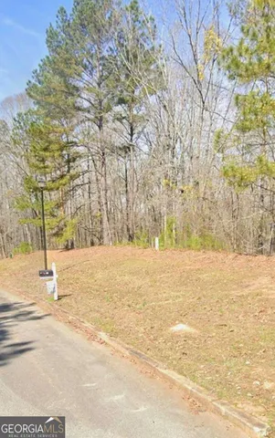 a view of a yard in front of the house