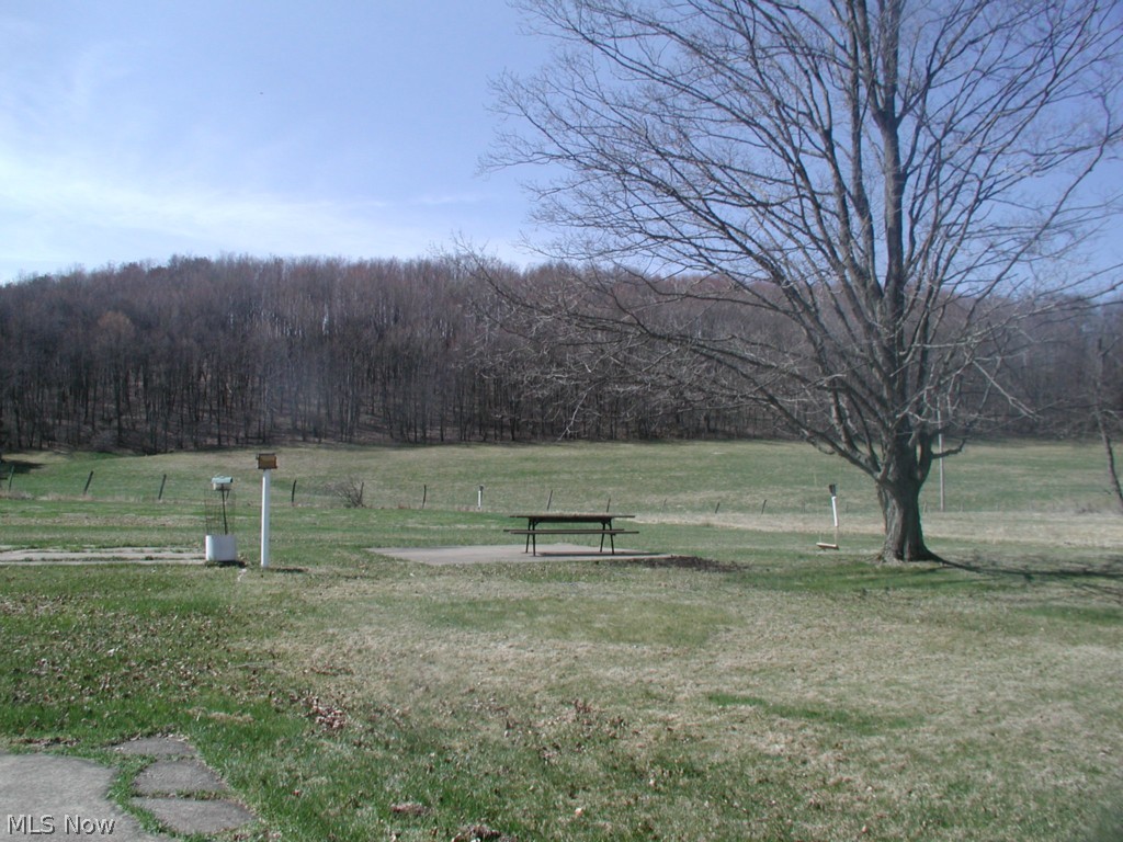 1231 Royal Road Southwest Dellroy, OH 44620 - Photo 3 of 3