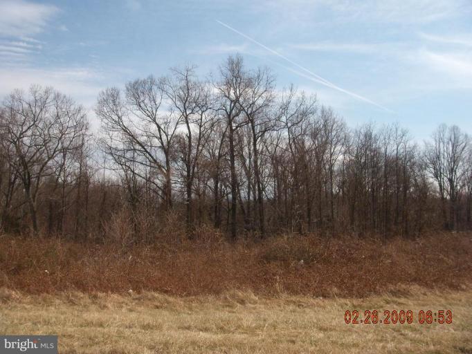 909 Governors Bridge Road Davidsonville, MD 21035 - Photo 1 of 1 Exterior (Main)