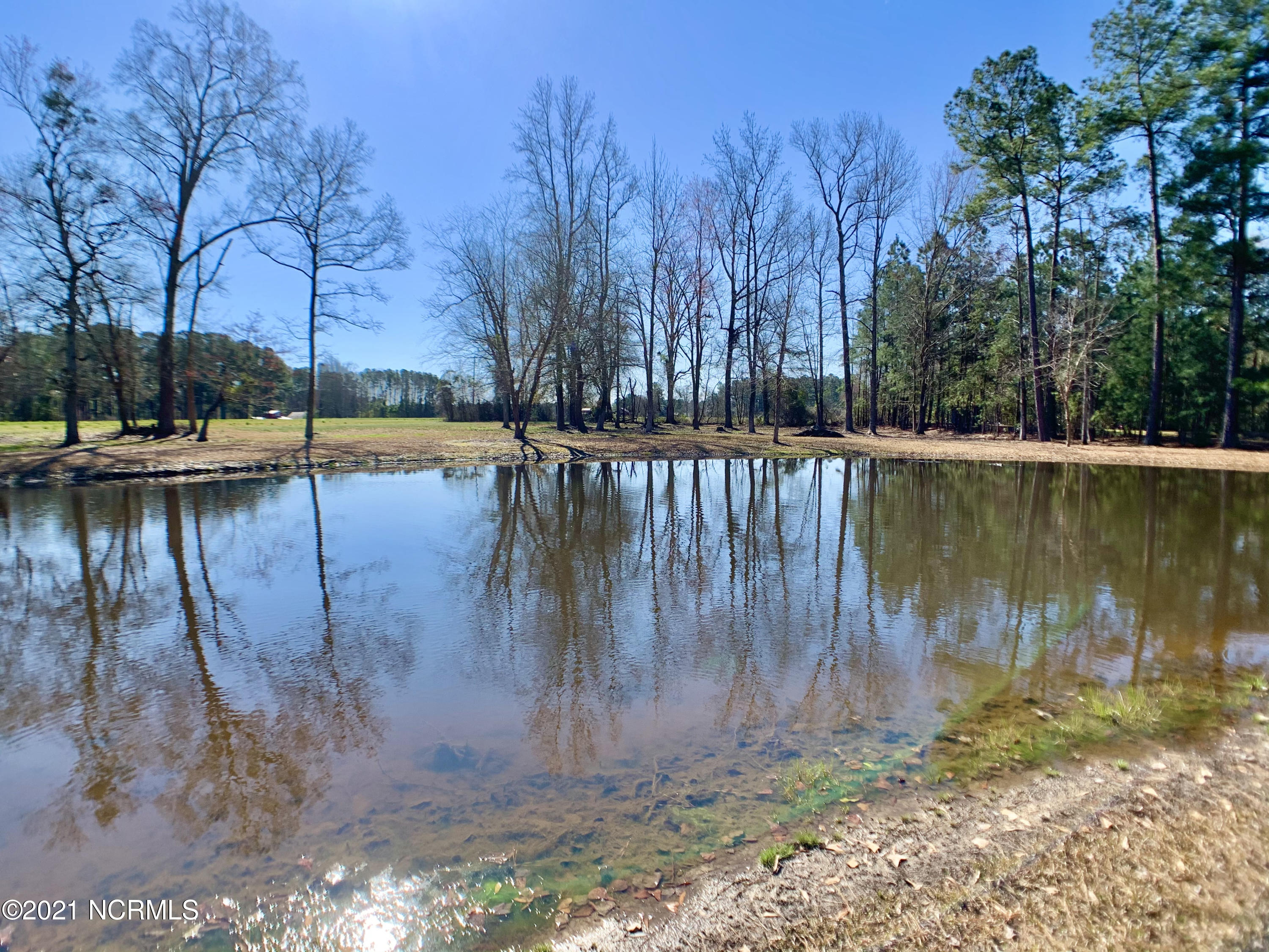 1271 Lawrence Tedder Road Whiteville, NC 28472 - Photo 24 of 28 Backyard 4