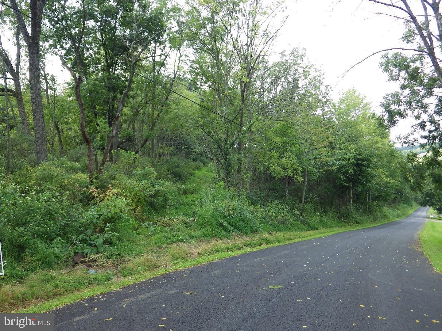 0 Hepler Road Klingerstown, PA 17941 - Photo 1 of 8 Gallery Image 1