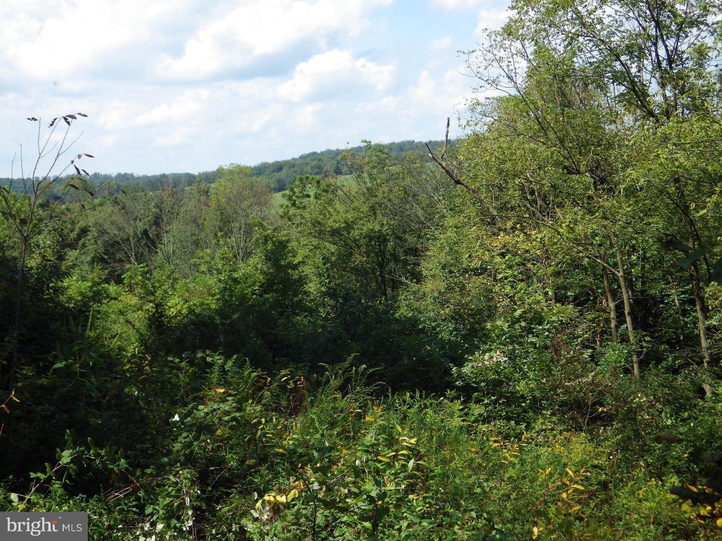 0 Hepler Road Klingerstown, PA 17941 - Photo 3 of 8 Gallery Image 3