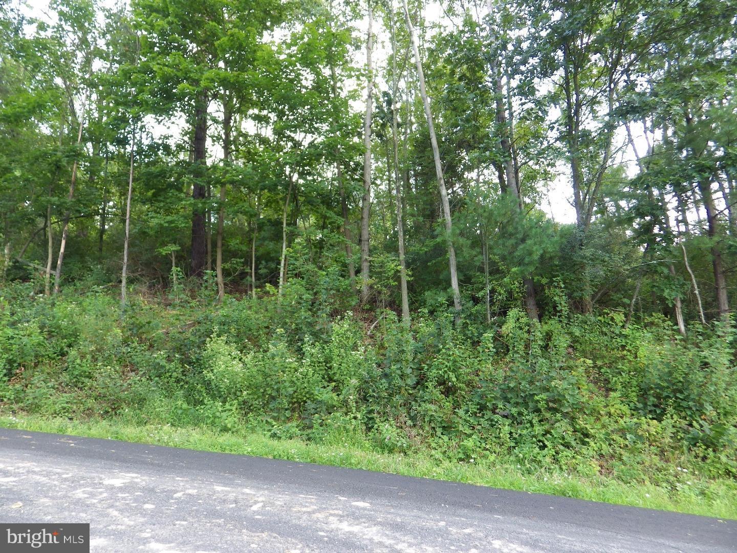 0 Hepler Road Klingerstown, PA 17941 - Photo 5 of 8 Gallery Image 5