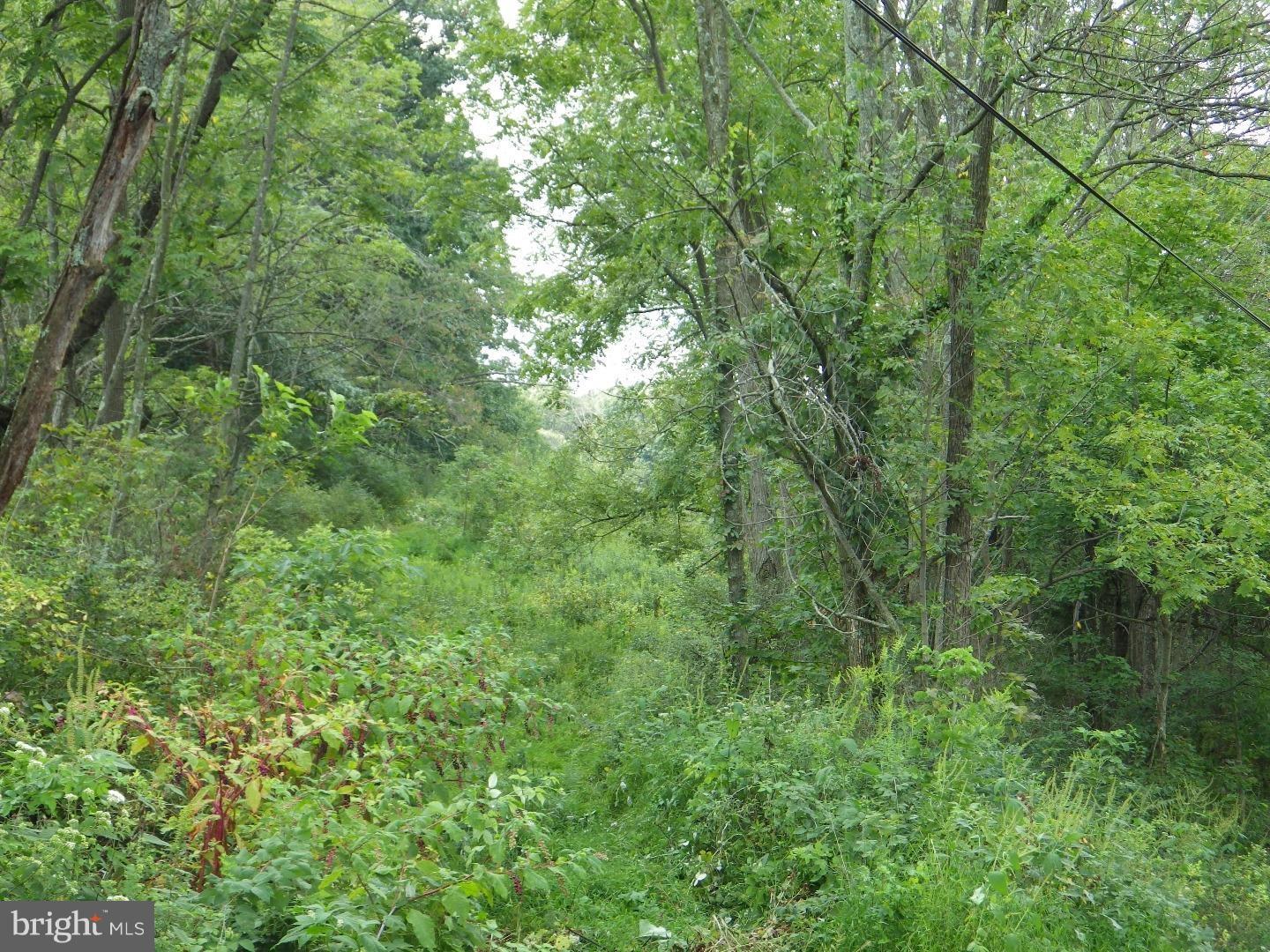 0 Hepler Road Klingerstown, PA 17941 - Photo 6 of 8 Gallery Image 6
