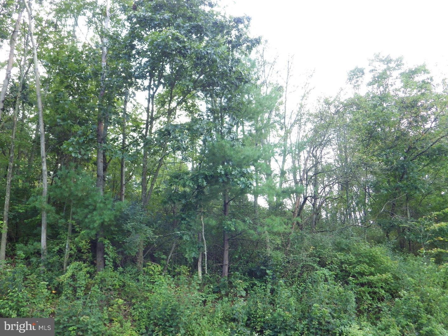 0 Hepler Road Klingerstown, PA 17941 - Photo 7 of 8 Gallery Image 7