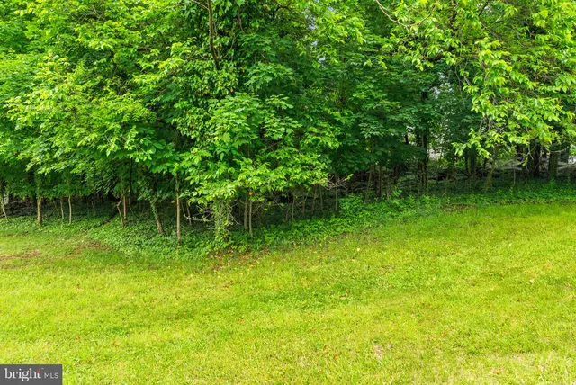 a backyard of a house with lots of green space and plants