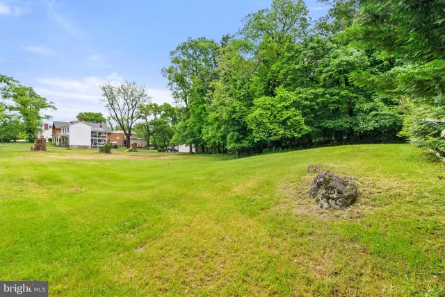 a view of a yard with a trees