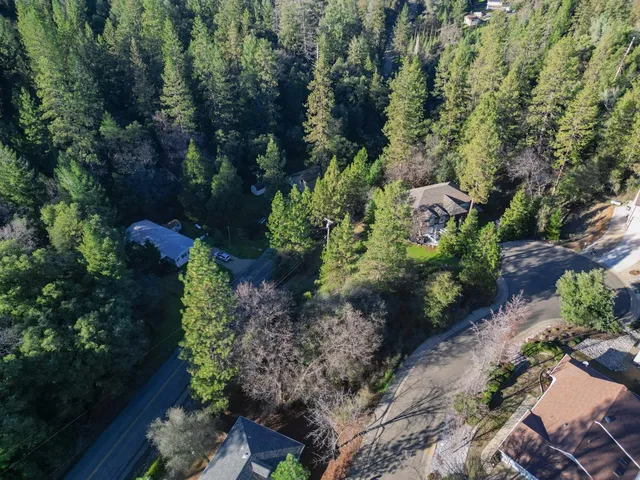 a view of a city with lush green forest