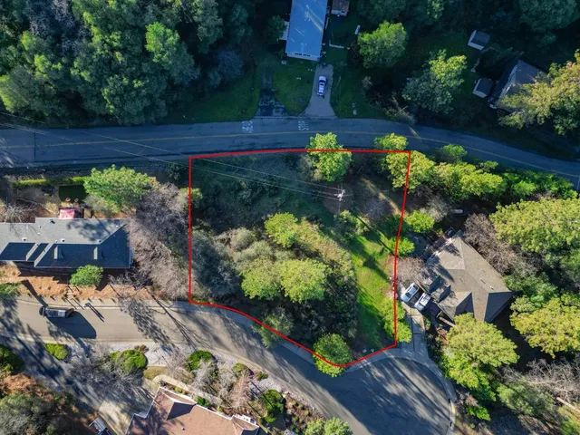 a view of a garden with flowers