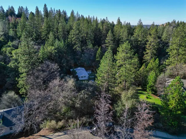 a view of a garden with flowers and flowers