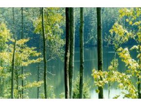 Perch Pond Road Lisbon, NH 03585 - Photo 2 of 2