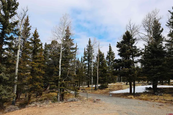 a view of outdoor space with trees
