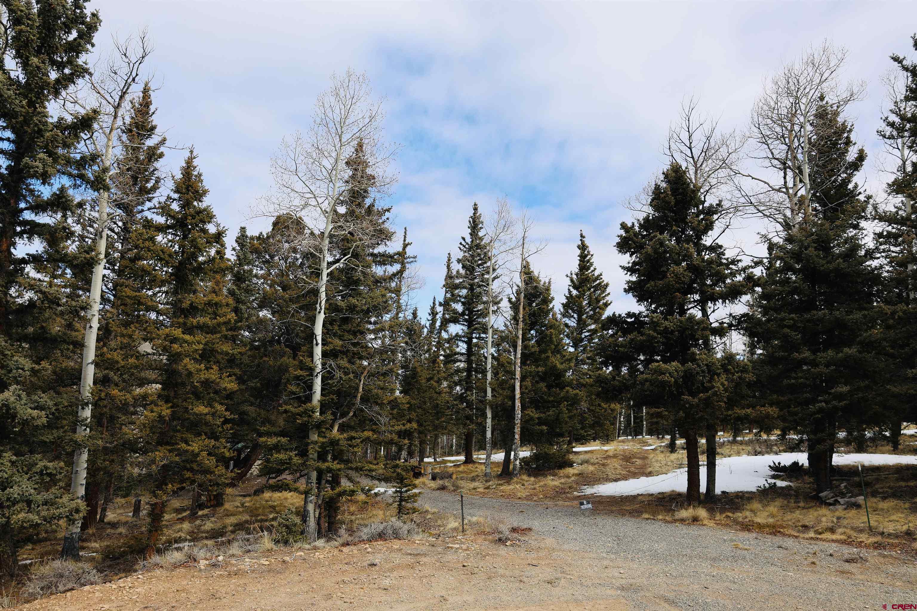 a view of outdoor space with trees