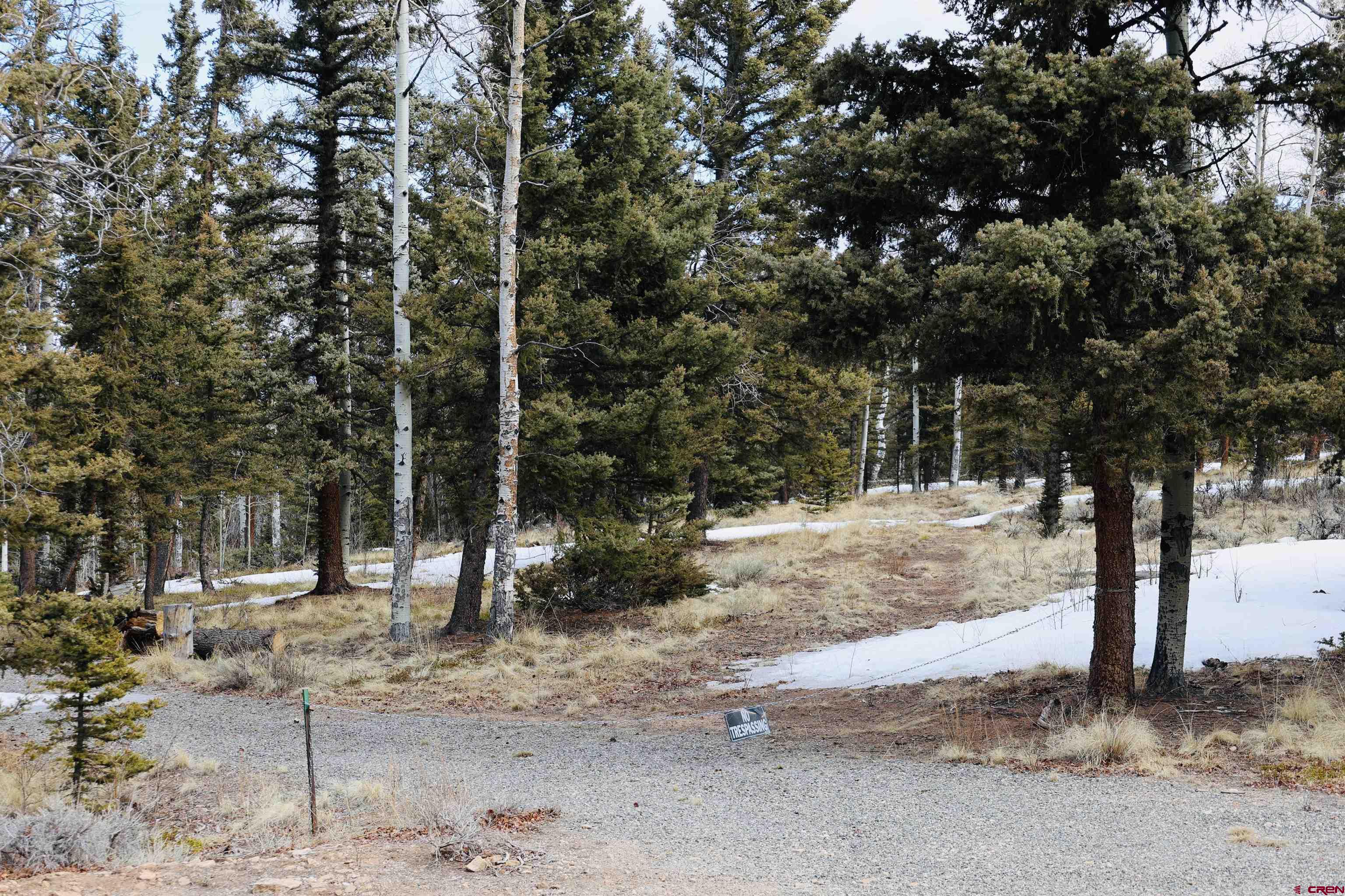 Tbd Cochetopa Trail Powderhorn, CO 81243 - Photo 11 of 19 a view of outdoor space with trees