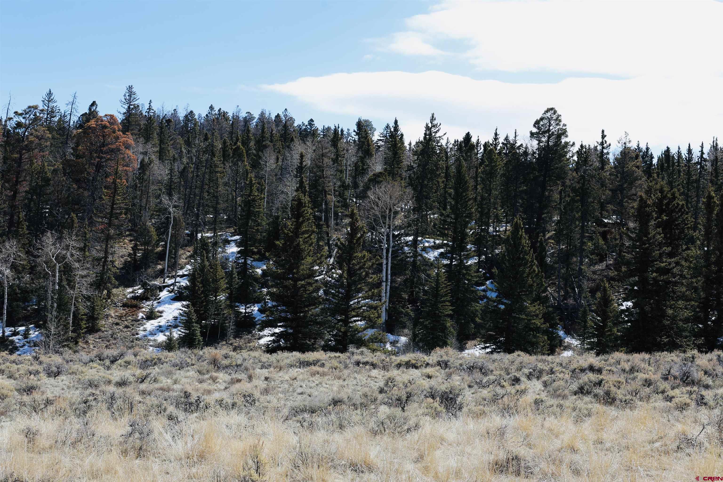 Tbd Cochetopa Trail Powderhorn, CO 81243 - Photo 18 of 19