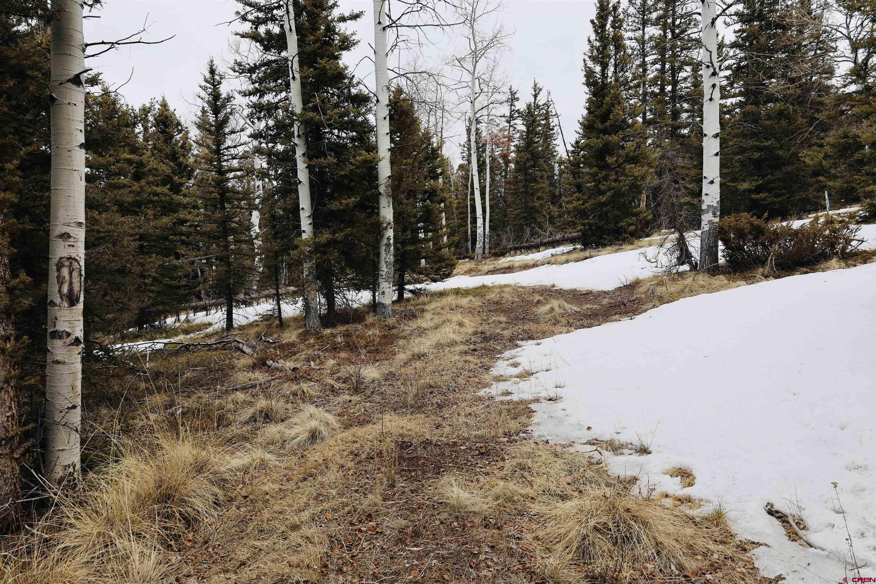 Tbd Cochetopa Trail Powderhorn, CO 81243 - Photo 3 of 19 a view of a yard covered with snow in front of house