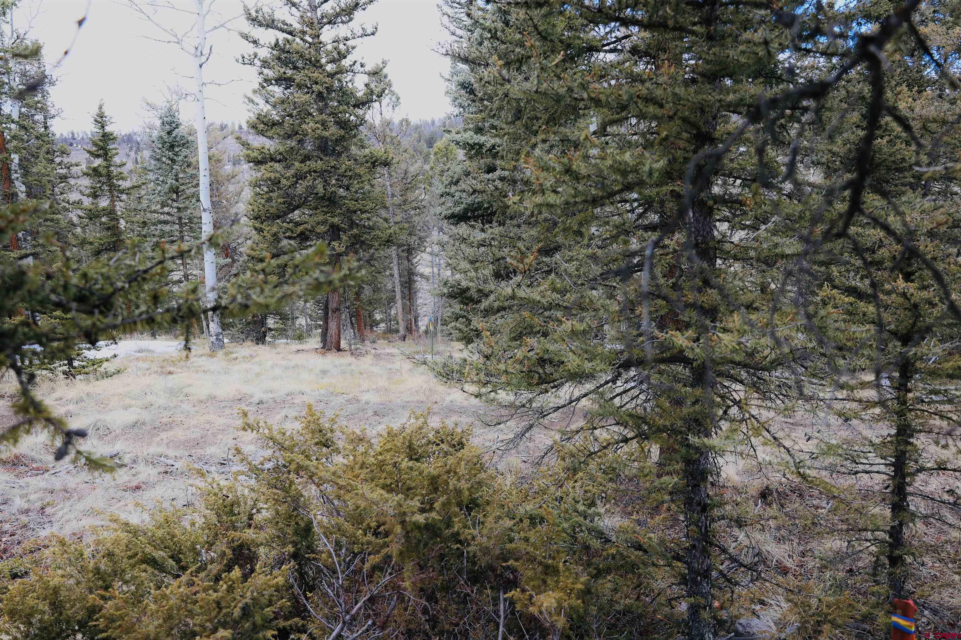 Tbd Cochetopa Trail Powderhorn, CO 81243 - Photo 5 of 19 a view of a forest with trees in the background