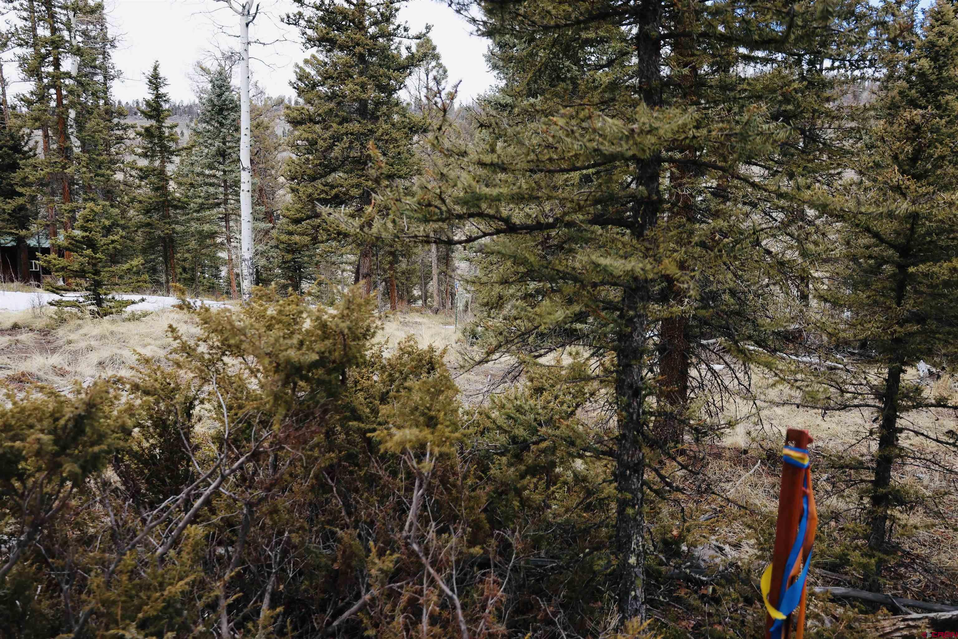 Tbd Cochetopa Trail Powderhorn, CO 81243 - Photo 7 of 19 a view of forest