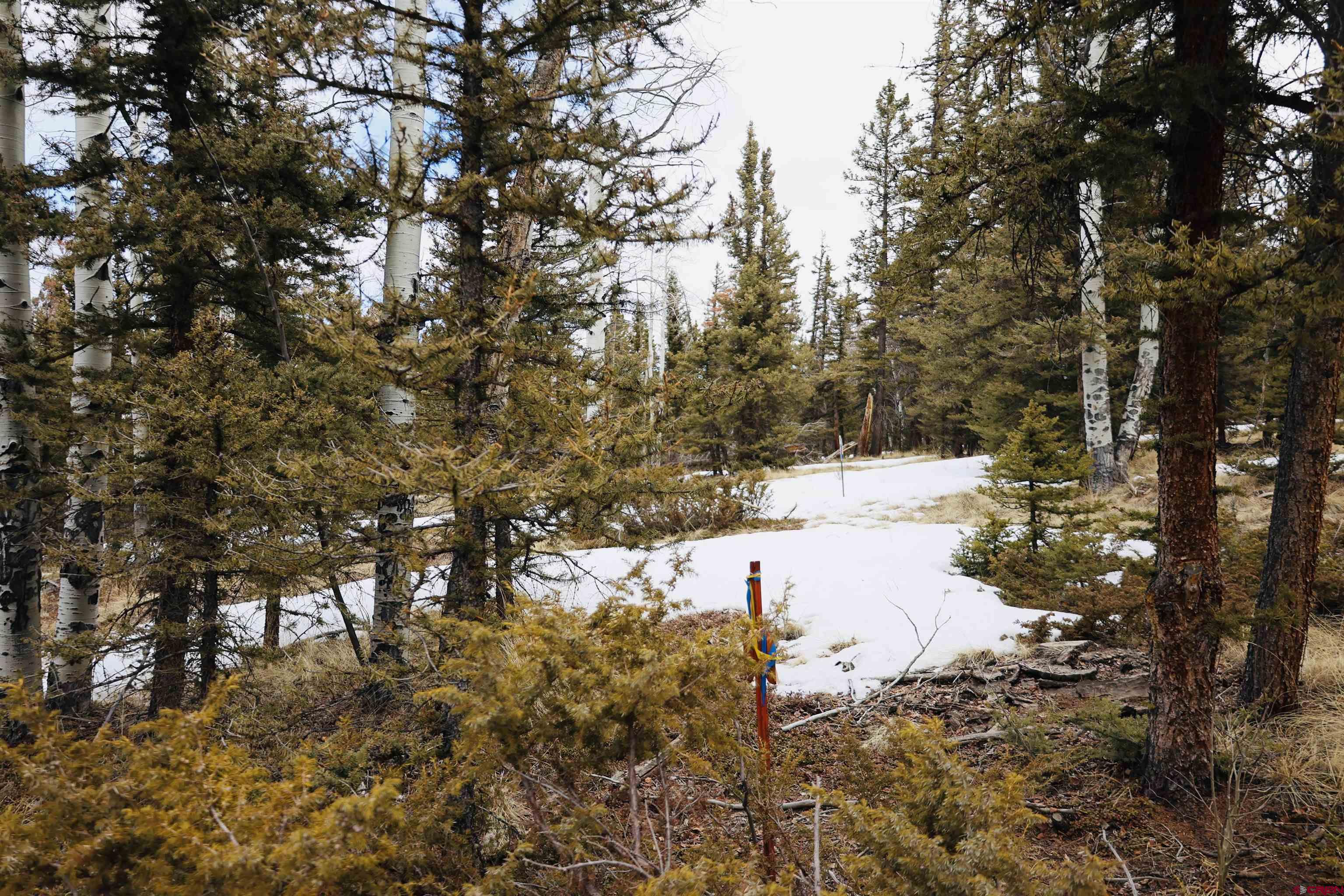 Tbd Cochetopa Trail Powderhorn, CO 81243 - Photo 8 of 19 a view of a yard with trees