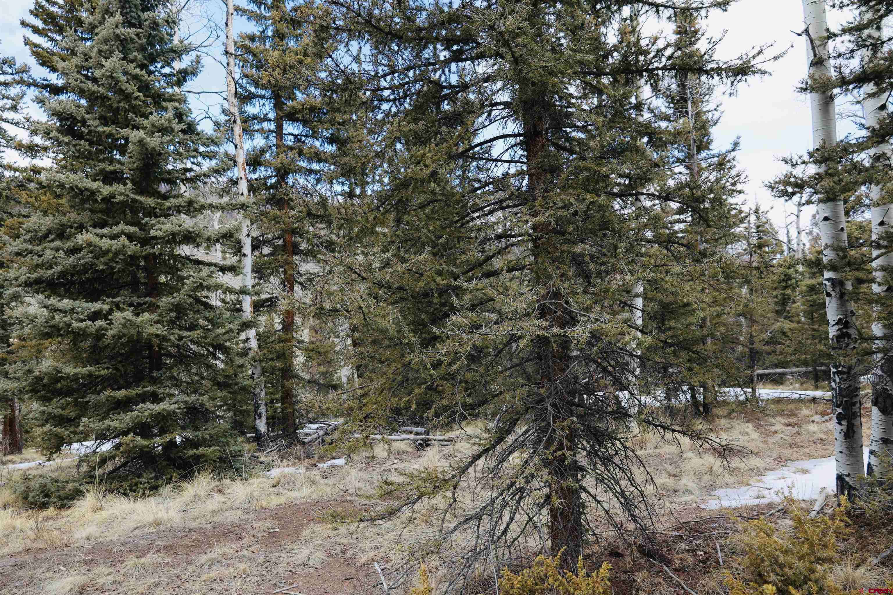 Tbd Cochetopa Trail Powderhorn, CO 81243 - Photo 10 of 19 a view of outdoor space and a yard