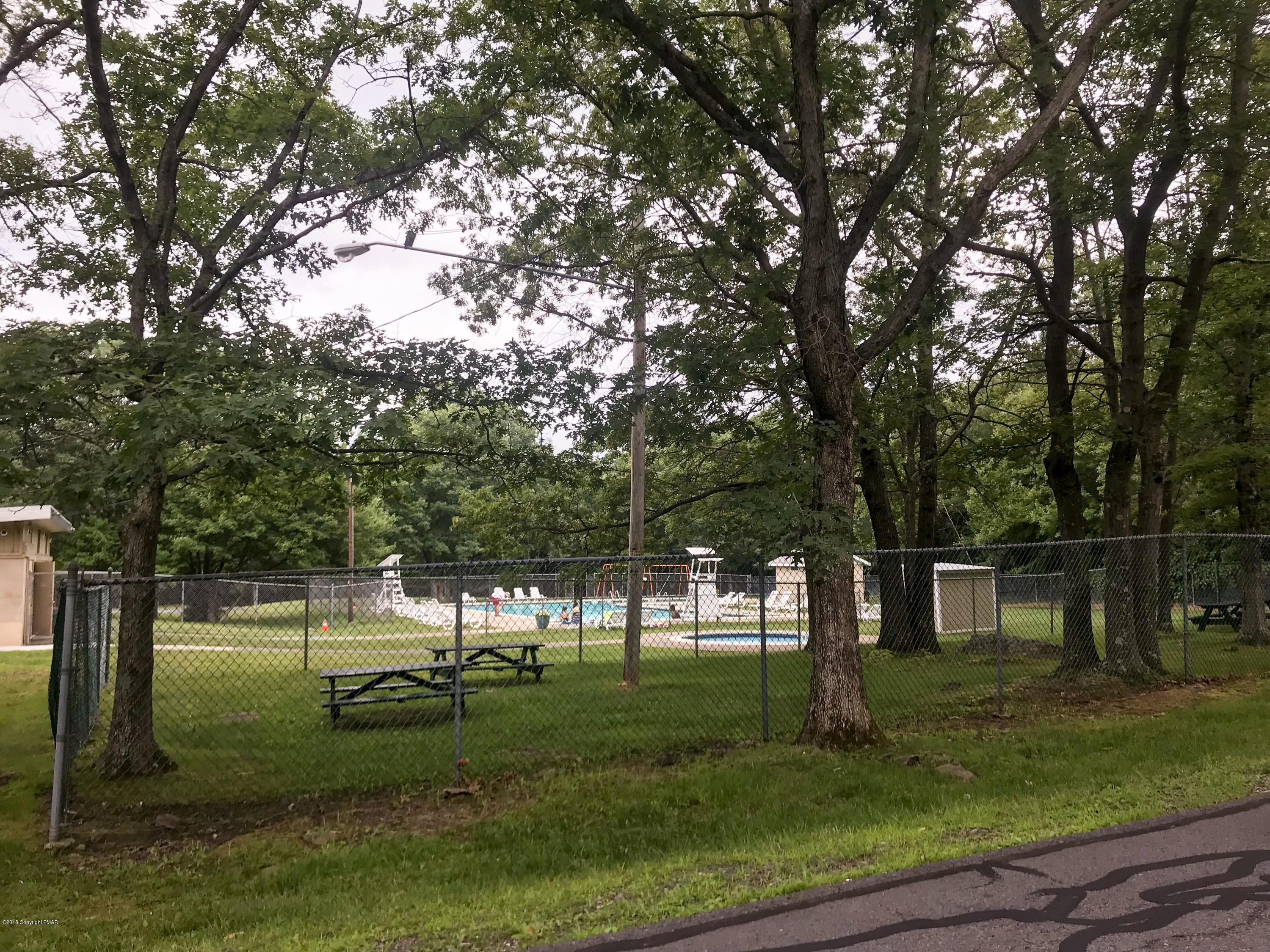 33 Sassafras Road Albrightsville, PA 18210 - Photo 35 of 36 a view of a park with a tree