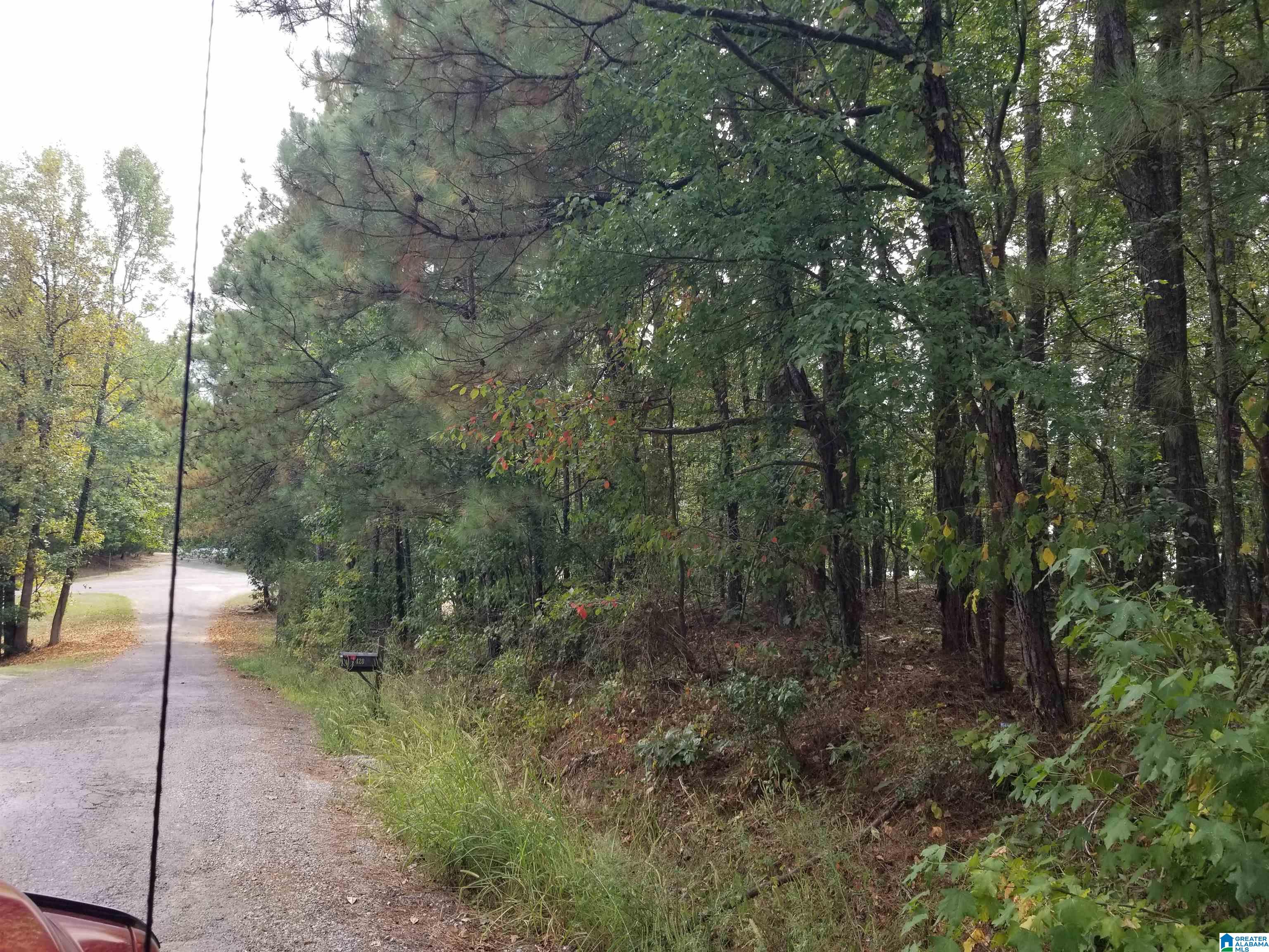 417 Tomahawk Trail, Unit 53 Riverside, AL 35135 - Photo 2 of 4