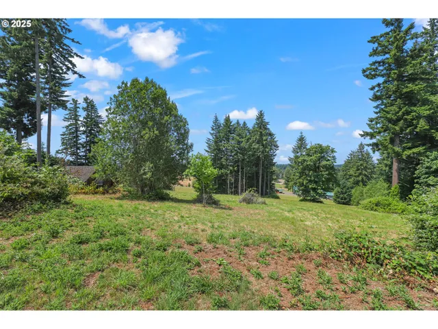 a view of a large yard with lots of green space