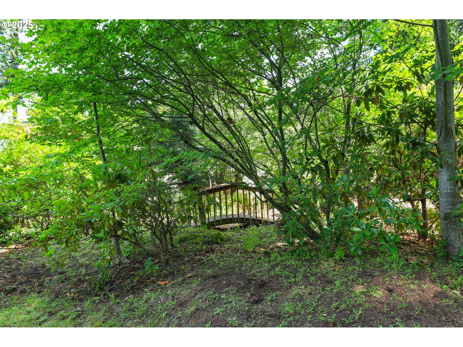 17501 Southeast Fosberg Road Boring, OR 97009 - Photo 41 of 48 a view of outdoor space and yard