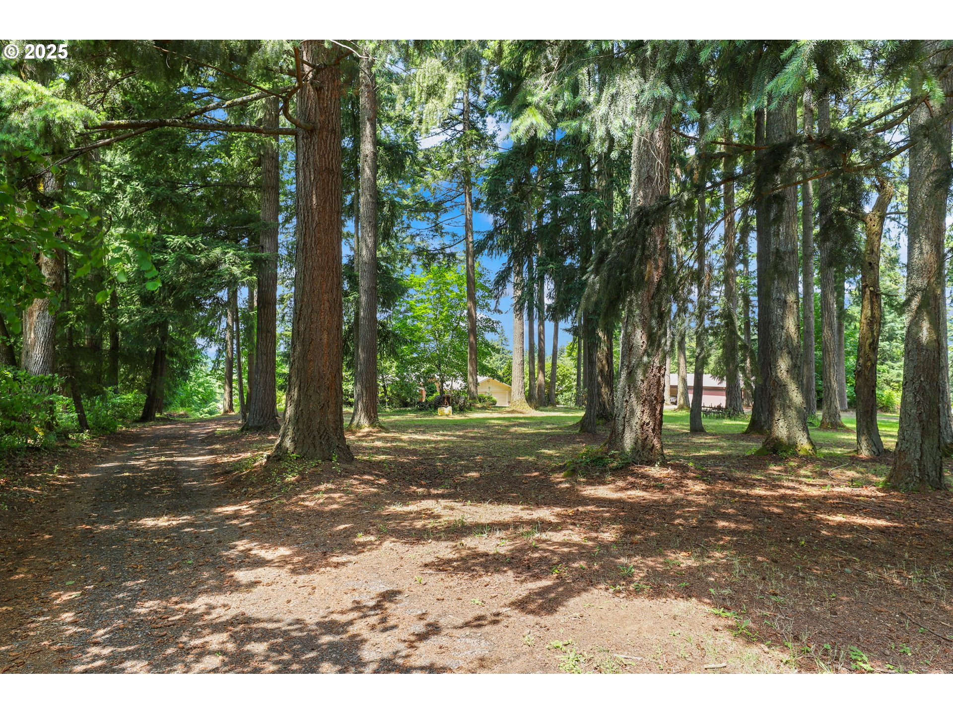 17501 Southeast Fosberg Road Boring, OR 97009 - Photo 46 of 48 a view of a yard with plants and trees