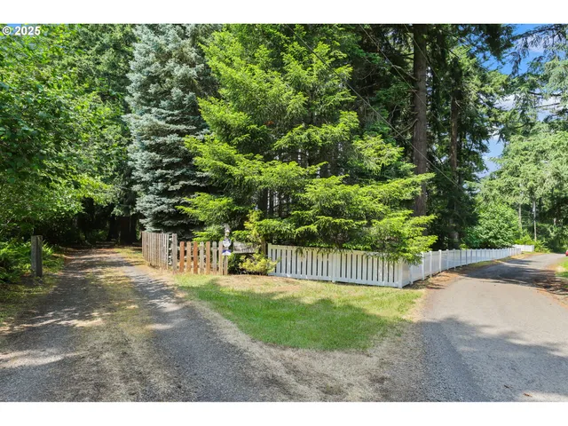 a view of a yard with plants and trees