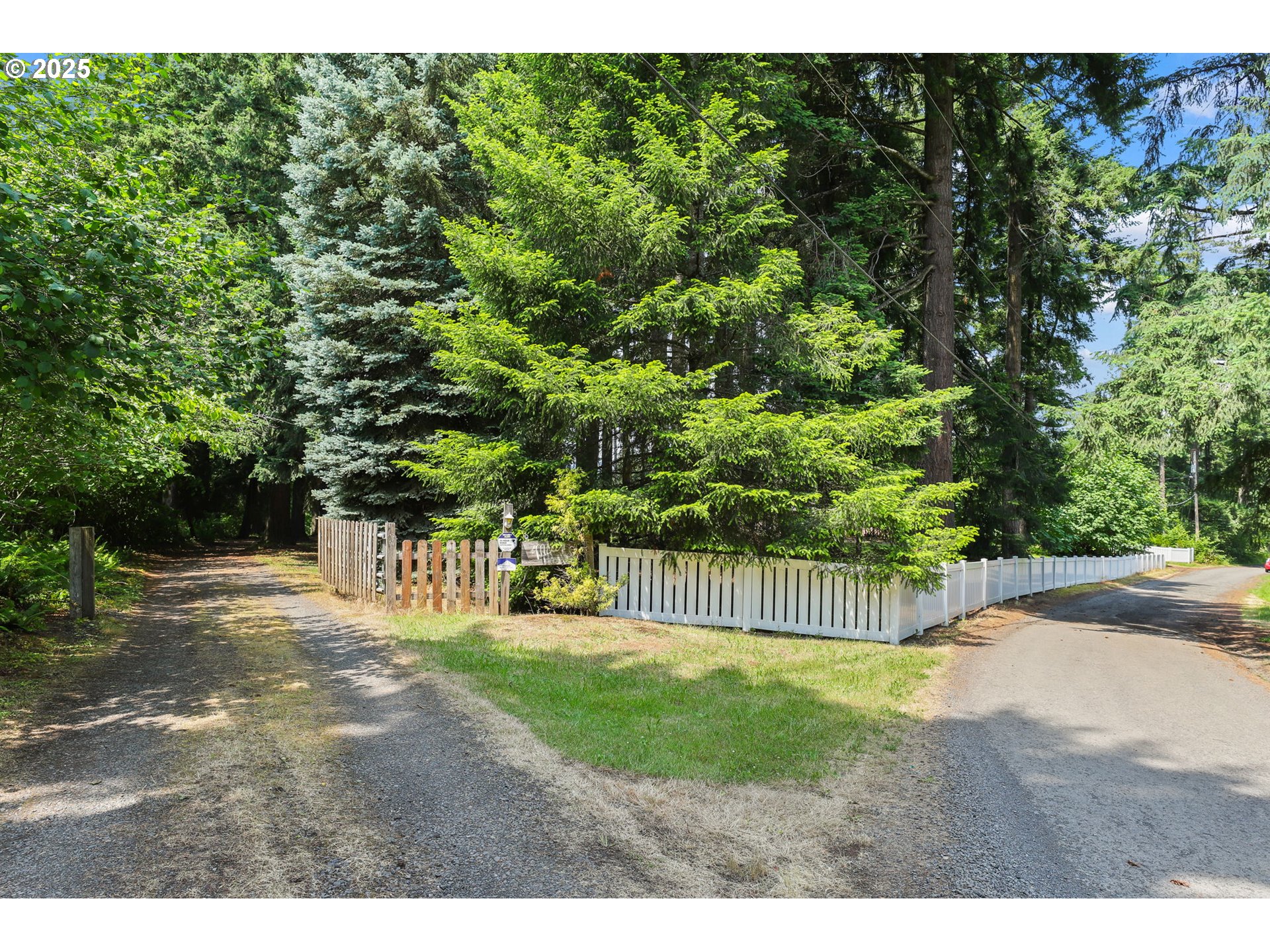 17501 Southeast Fosberg Road Boring, OR 97009 - Photo 47 of 48 a view of a yard with plants and trees