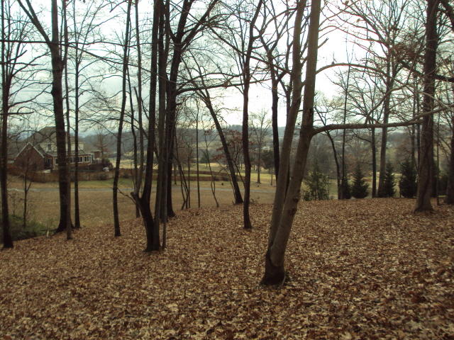 1149 Country Club Road Dandridge, TN 37725 - Photo 2 of 3 DSC03232