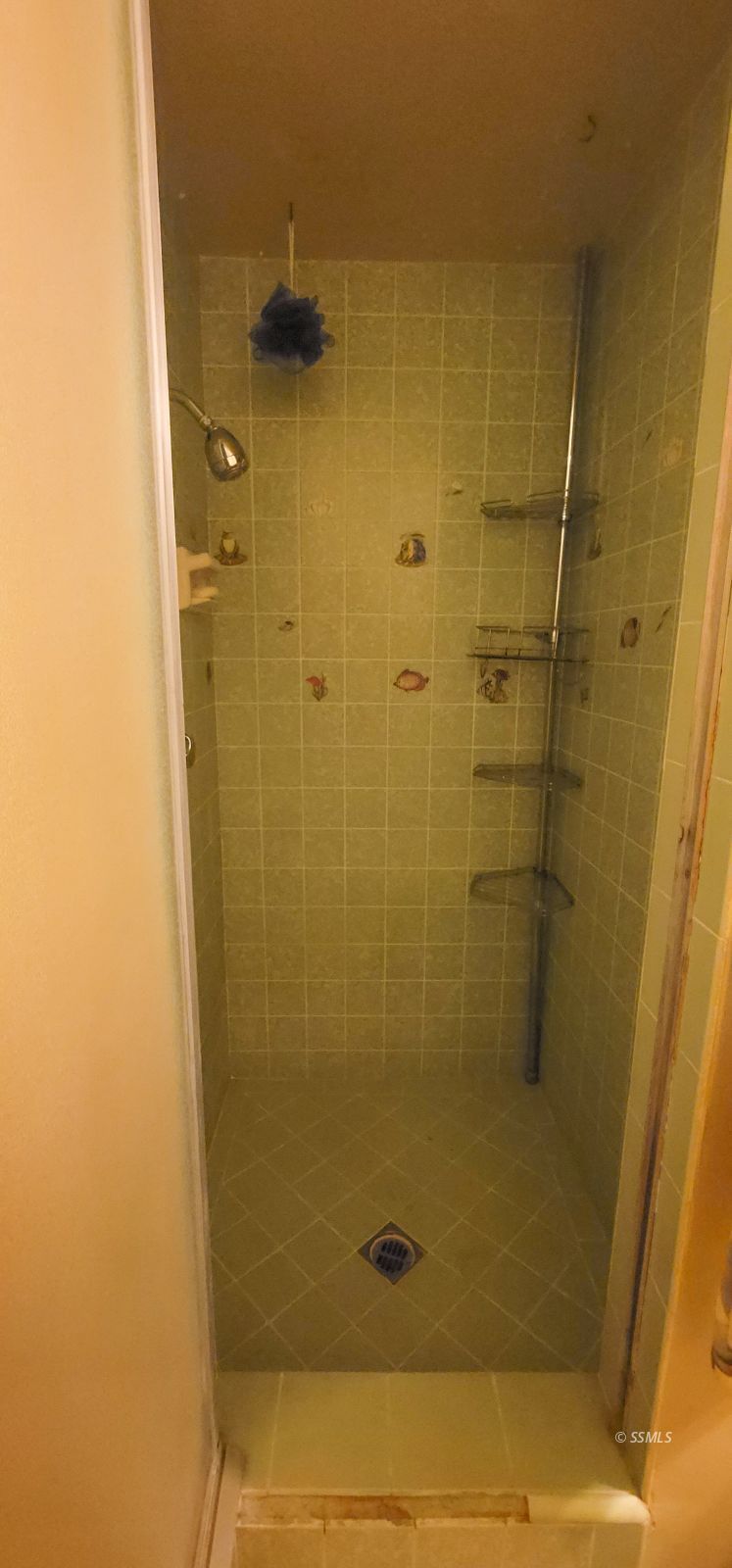 216 South Silver Ridge Street Ridgecrest, CA 93555 - Photo 16 of 21 a bathroom with a shower