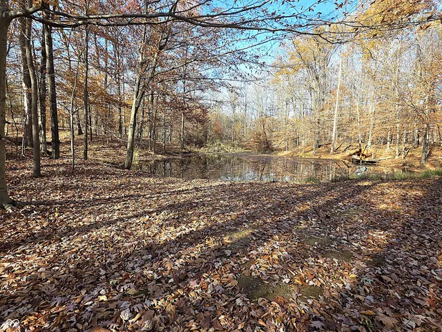 $950,000 | 4763 Nature Hills Lane, Martinsville, IN 46151