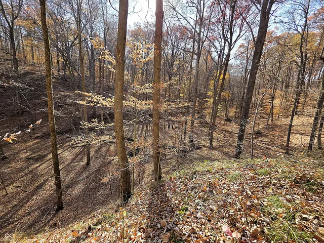 $950,000 | 4763 Nature Hills Lane, Martinsville, IN 46151