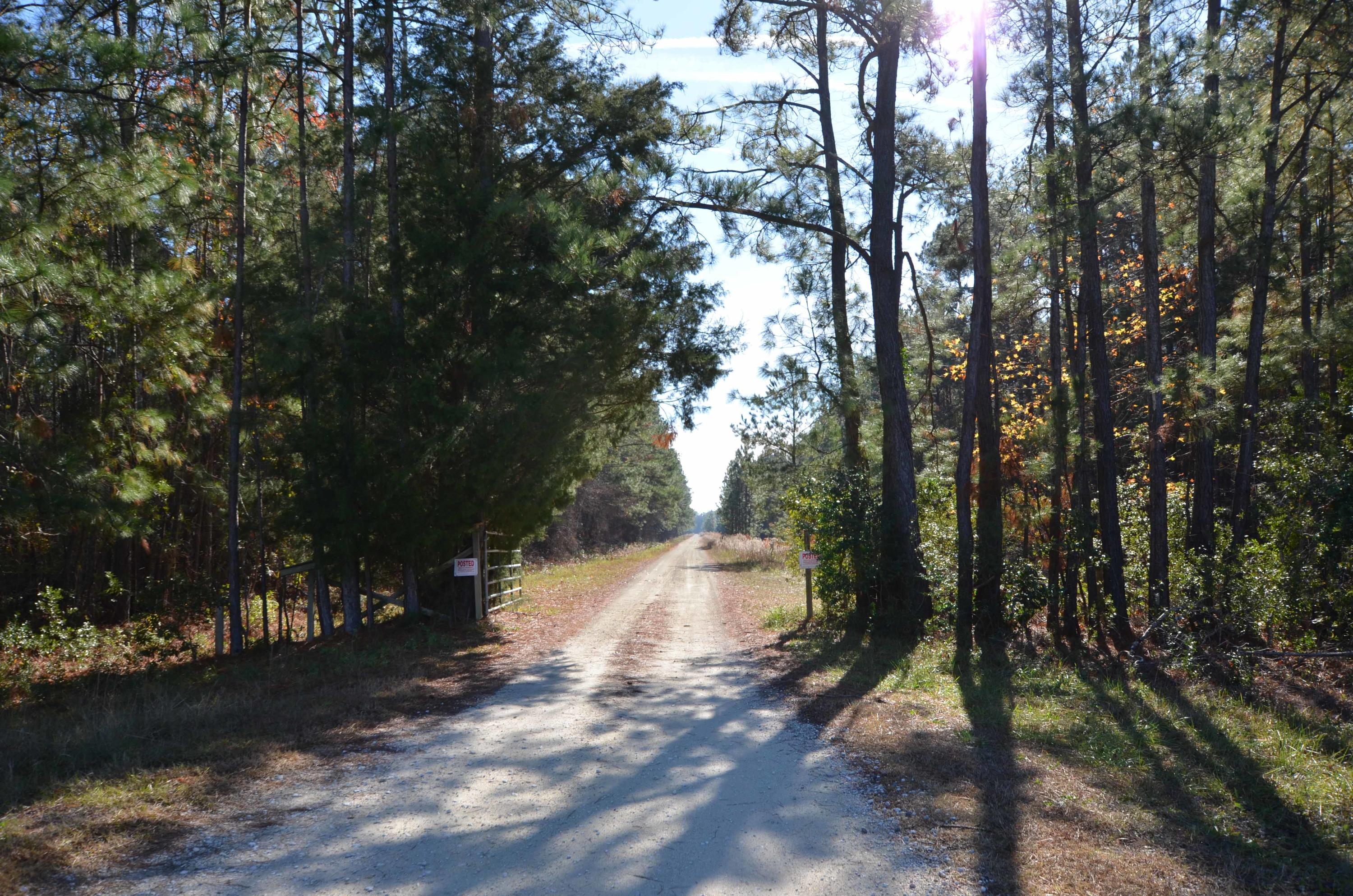 9621 2 Pines Road McClellanville, SC 29458 - Photo 26 of 29 Tibwin-Gate