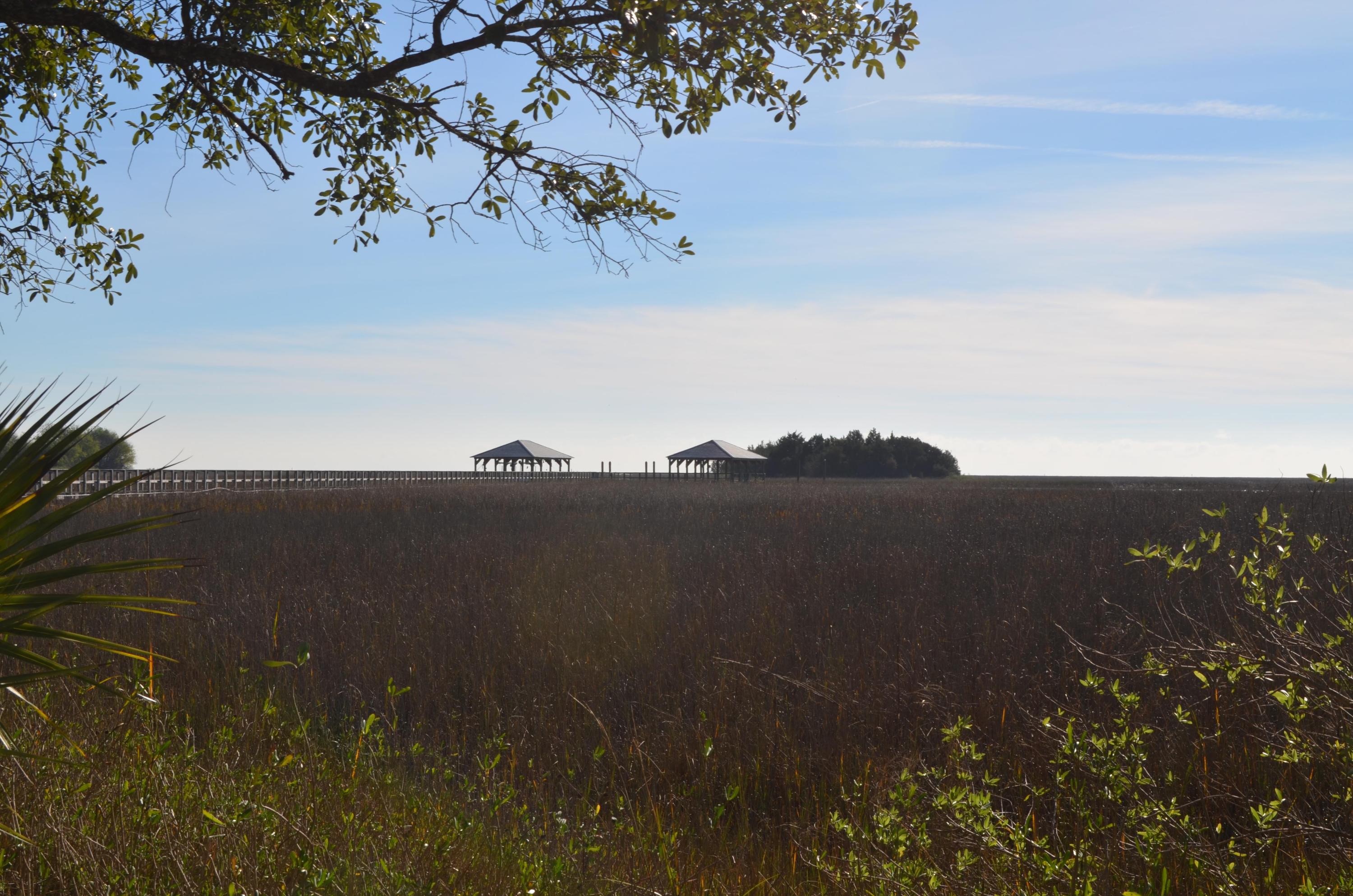 9621 2 Pines Road McClellanville, SC 29458 - Photo 9 of 29 Dock-from-Land
