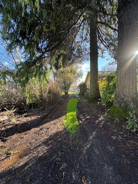 4055 Holland Loop Road Cave Junction, OR 97523 - Photo 21 of 21 Driveway