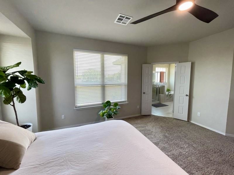 1036 Chad Loop Round Rock, TX 78665 - Photo 7 of 22 a bedroom with a bed and a potted plant