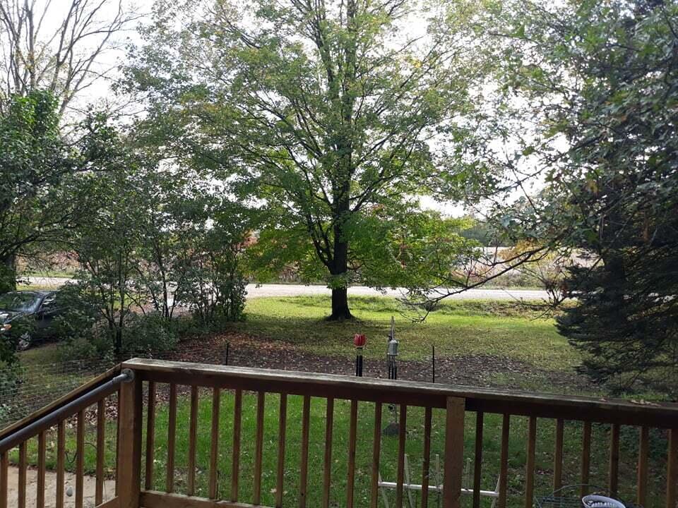19180 Monroe Road Morley, MI 49336 - Photo 12 of 17 244480811_460230778584940_68414482453065