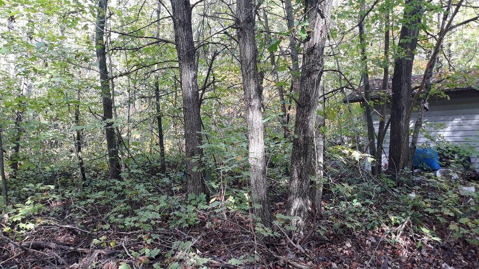19180 Monroe Road Morley, MI 49336 - Photo 14 of 17 244741810_3940694636030569_9885490169988