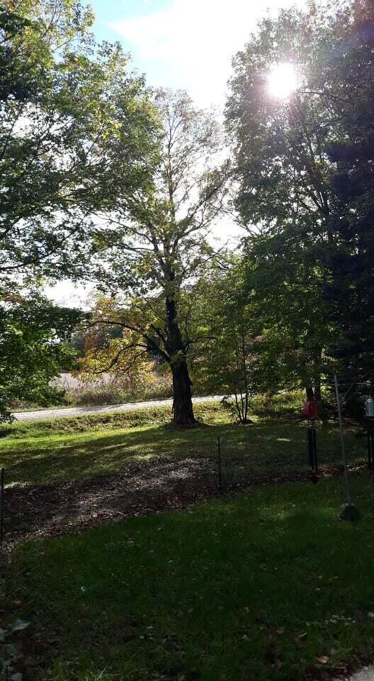19180 Monroe Road Morley, MI 49336 - Photo 15 of 17 244559703_379185200541344_75146468474055