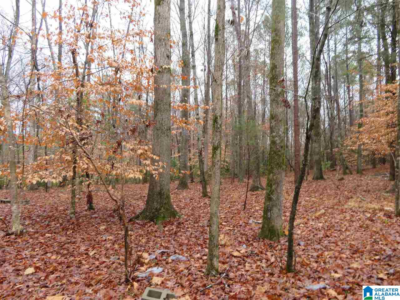 138 Cedar Grove Road West Blocton, AL 35184 - Photo 19 of 44