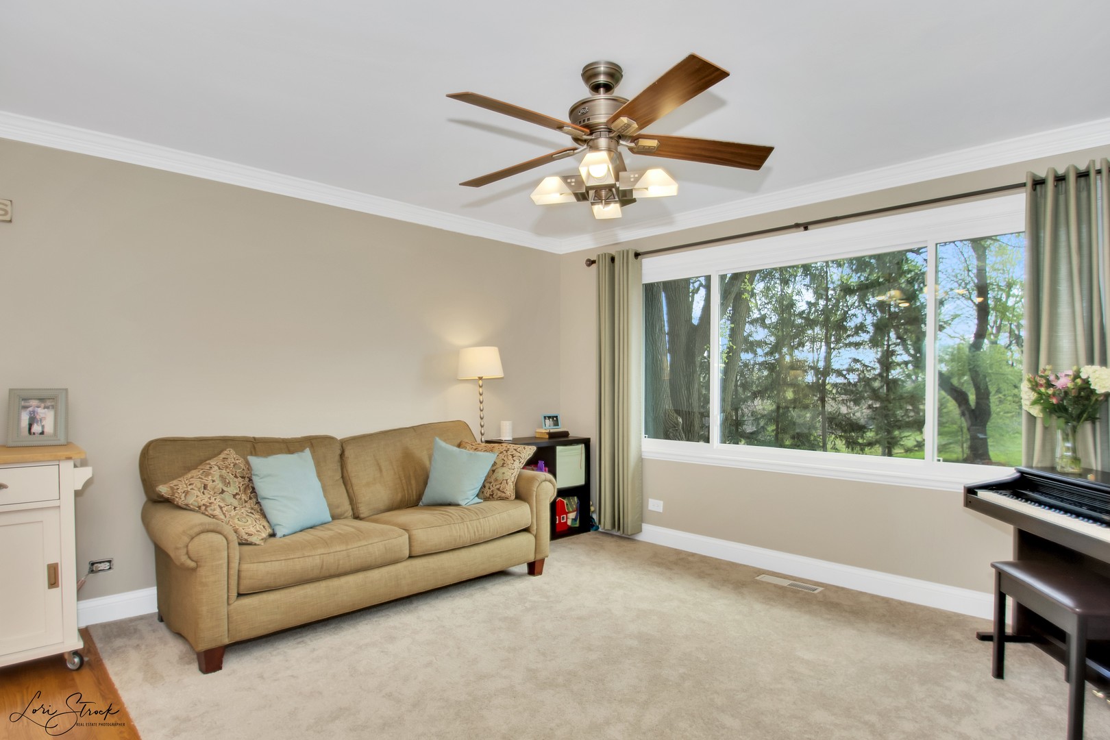 8S269 South Barnes Road Aurora, IL 60506 - Photo 9 of 21 Gallery Image 9