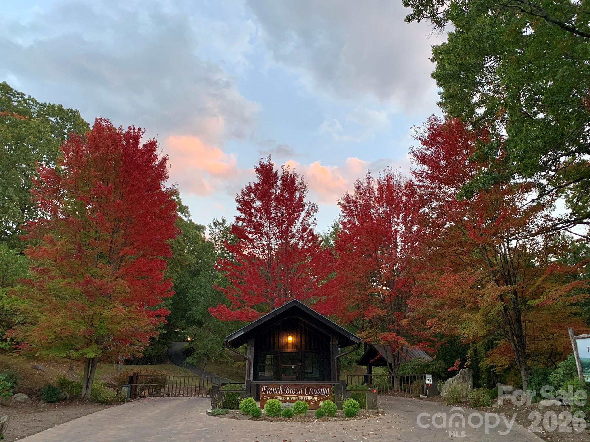 75 Wild Turkey Loop, Unit 31 Marshall, NC 28753 - Photo 15 of 38 a large tree in the middle of a park