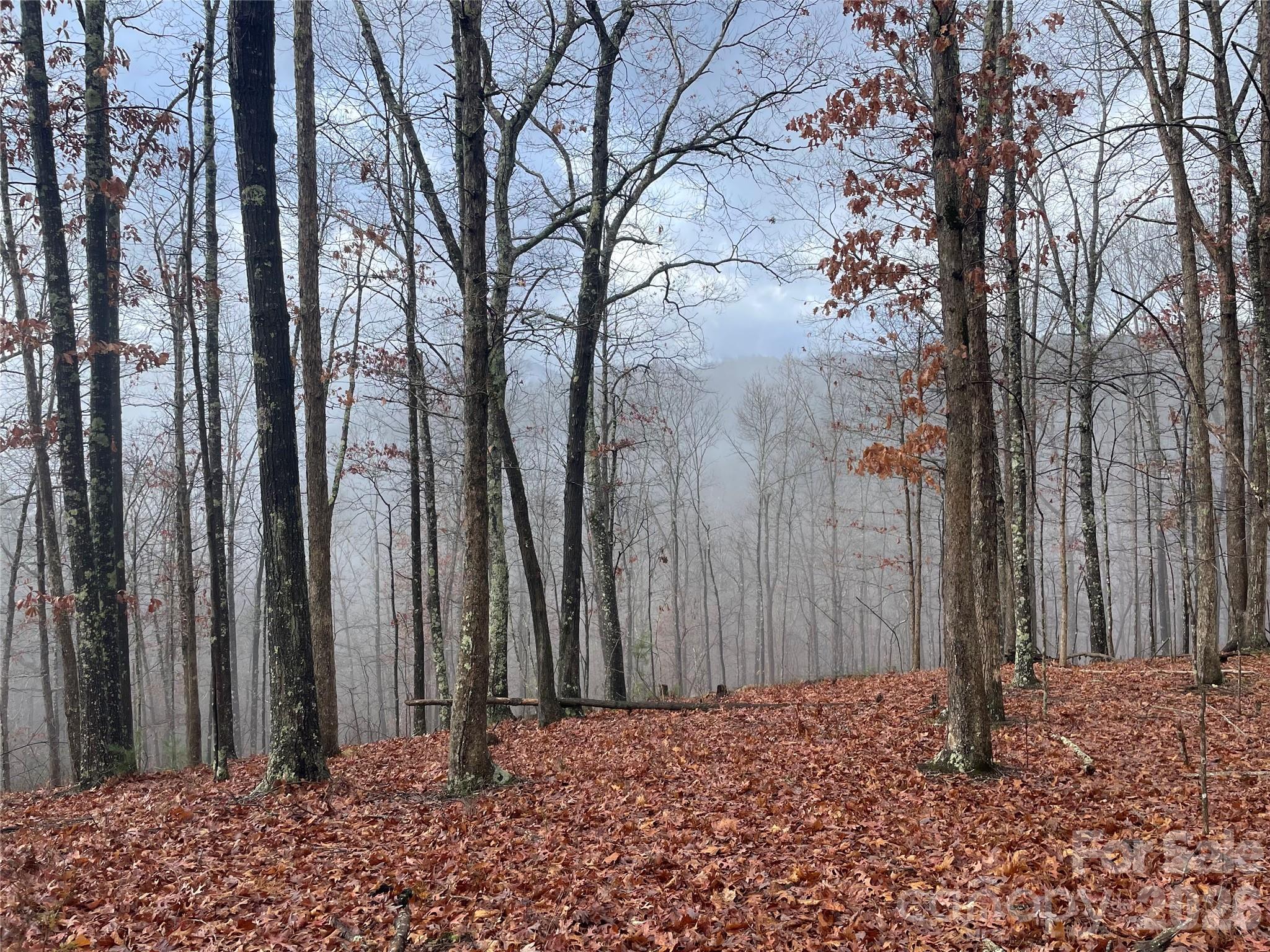 75 Wild Turkey Loop, Unit 31 Marshall, NC 28753 - Photo 2 of 38 a backyard of a house with lots of green space
