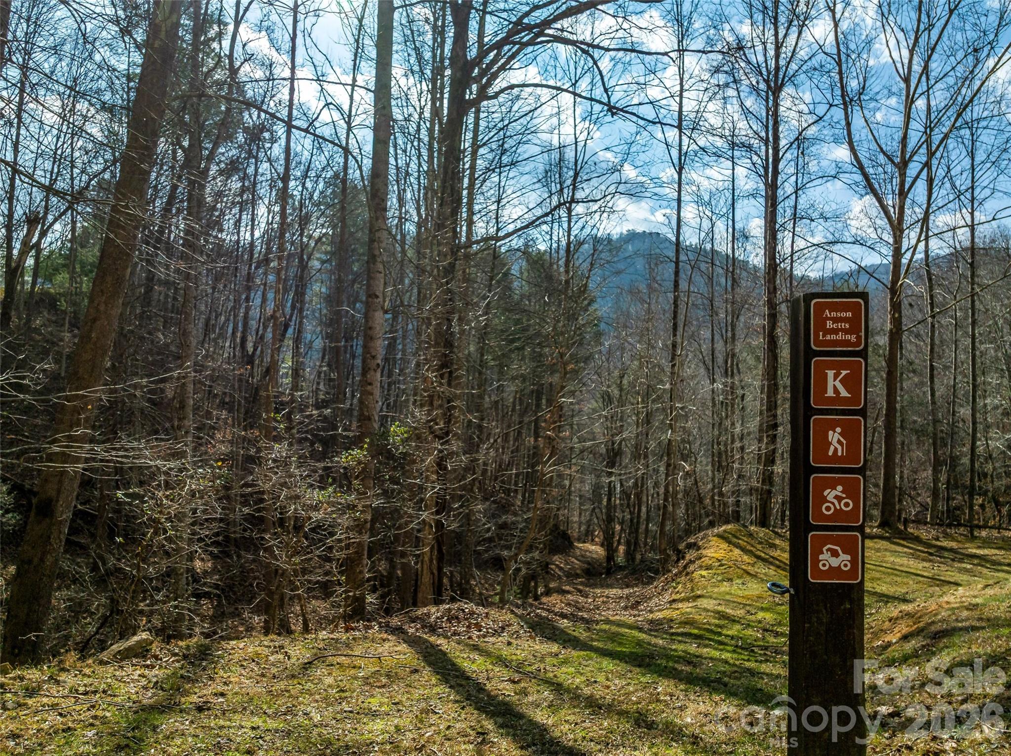 75 Wild Turkey Loop, Unit 31 Marshall, NC 28753 - Photo 27 of 38 a backyard of a house with lots of green space