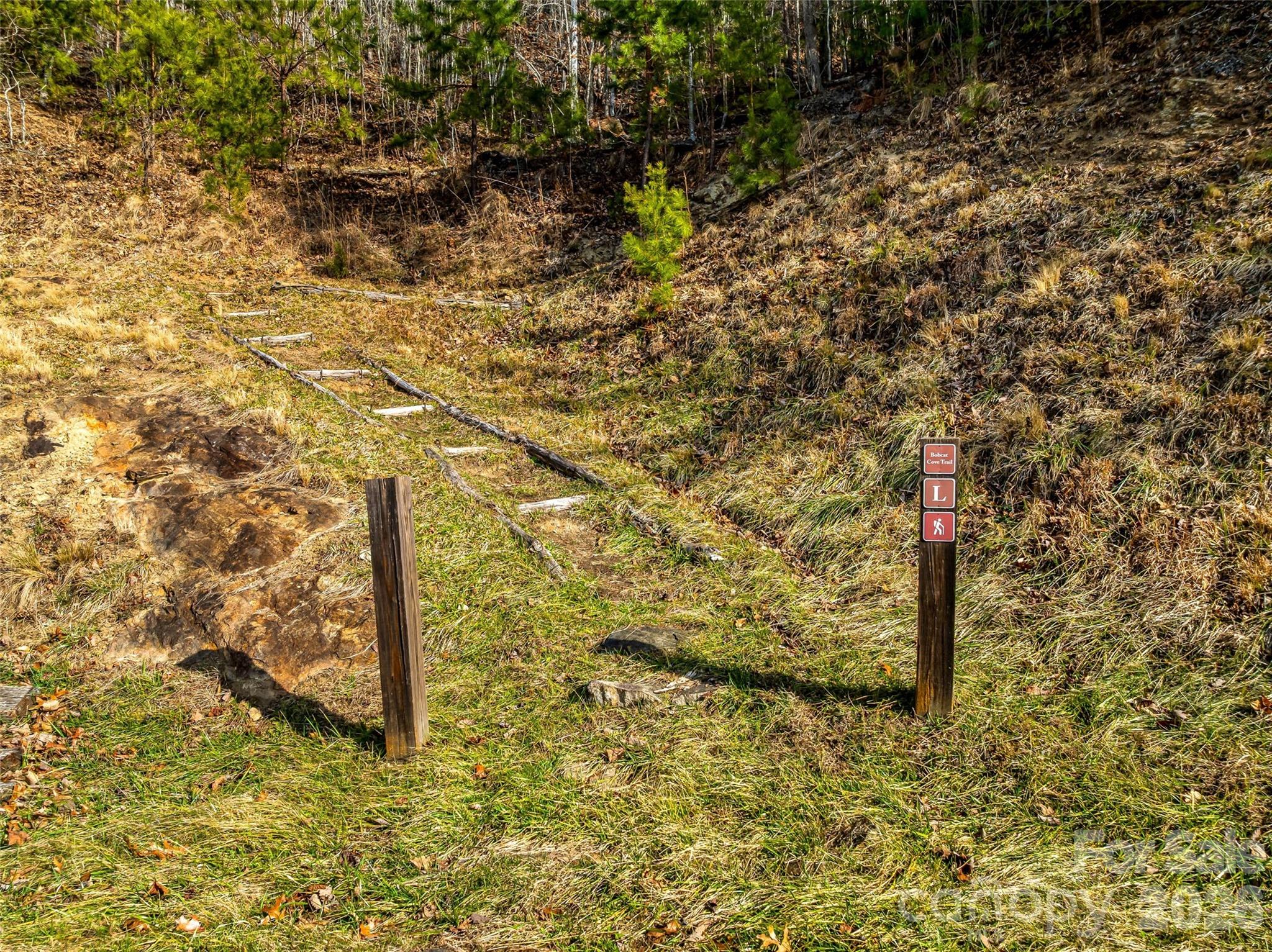 75 Wild Turkey Loop, Unit 31 Marshall, NC 28753 - Photo 28 of 38 a view of a tree with an outdoor space