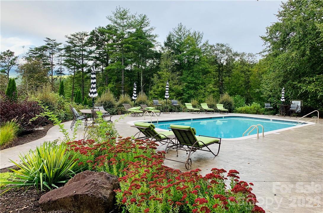 75 Wild Turkey Loop, Unit 31 Marshall, NC 28753 - Photo 6 of 38 a view of a swimming pool with chairs and plants