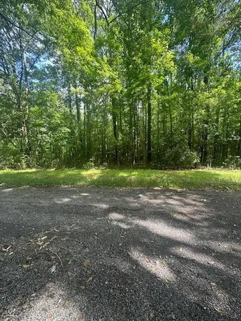 $90,000 | 0 Duberry Lane, Ridgeville, SC 29472
